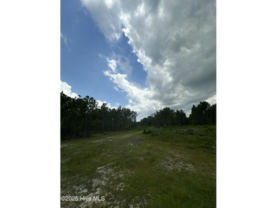 Discover a rare opportunity to own 825 acres of unspoiled - photo 29