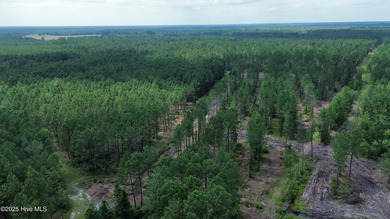 Discover a rare opportunity to own 825 acres of unspoiled - photo 30