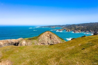 Unmatched views surround 3 sides of this rare oceanfront parcel - photo 32