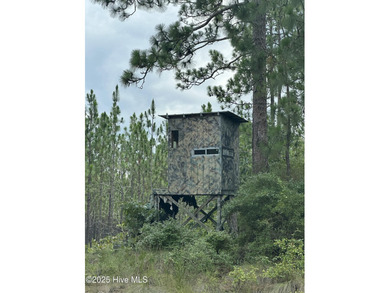 Discover a rare opportunity to own 825 acres of unspoiled - photo 33