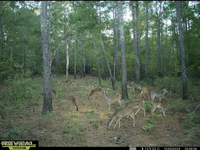 Discover a rare opportunity to own 825 acres of unspoiled - photo 36
