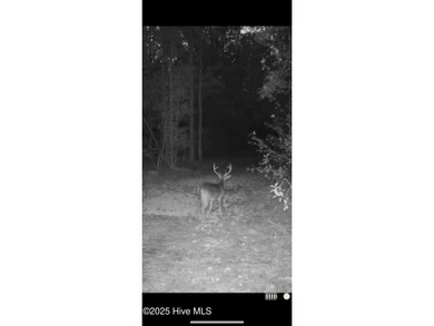 Discover a rare opportunity to own 825 acres of unspoiled - photo 38