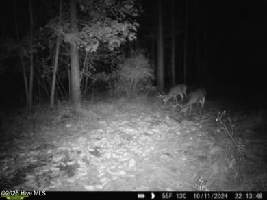 Discover a rare opportunity to own 825 acres of unspoiled - photo 39