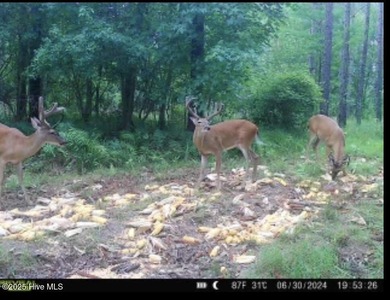 Discover a rare opportunity to own 825 acres of unspoiled - photo 40