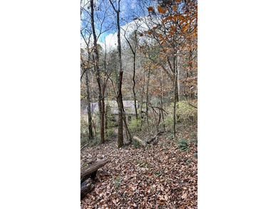 Lake Acreage For Sale in Sherwood, Tennessee