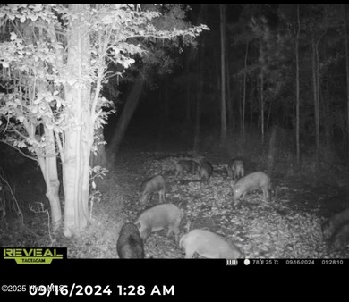 Discover a rare opportunity to own 825 acres of unspoiled - photo 44