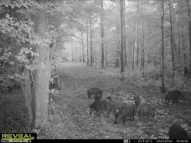 Discover a rare opportunity to own 825 acres of unspoiled - photo 45