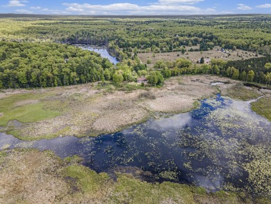 Lake Acreage For Sale in Twin Lake, Michigan