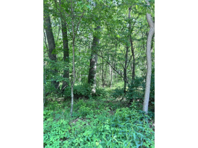 Lake Lot For Sale in Edwardsburg, Michigan