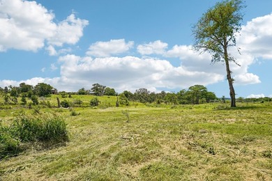 Guadalupe River Frontage with Exceptional Recreational Appeal - photo 5