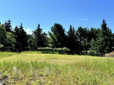 Berry Lake Lot For Sale in Cadillac Michigan