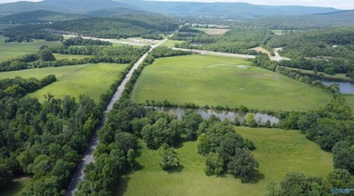 32 acres with a pond located just off of US Highway 72 just 22 - photo 1