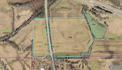 32 acres with a pond located just off of US Highway 72 just 22 - photo 3