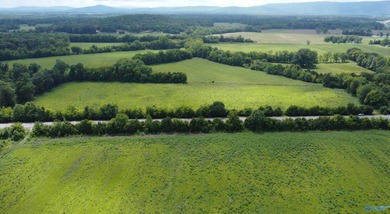 32 acres with a pond located just off of US Highway 72 just 22 - photo 4