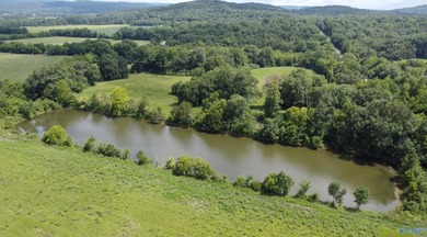 32 acres with a pond located just off of US Highway 72 just 22 - photo 5