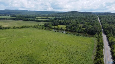 32 acres with a pond located just off of US Highway 72 just 22 - photo 10