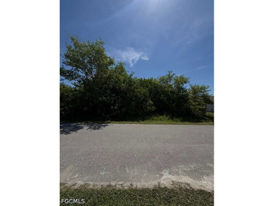 Port Charlotte Waterway Area Lot For Sale in Port Charlotte Florida