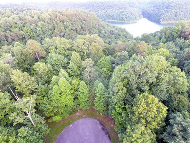 .6-Acre Lake Cumberland Lake View Cabin Building Lot - photo 4