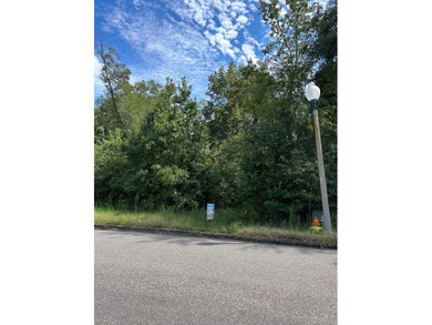 Build your DREAM home on this waterfront lot in DESIRED - photo 3
