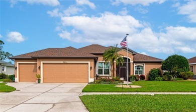 (private lake, pond, creek) Home For Sale in North Port Florida