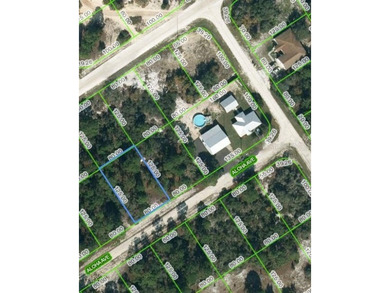 Lake Grassy Lot For Sale in Lake Placid Florida