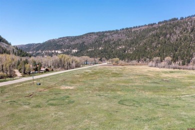 Lake Acreage For Sale in Dolores, Colorado