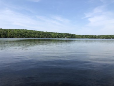 Lake Lot Off Market in Levering, Michigan
