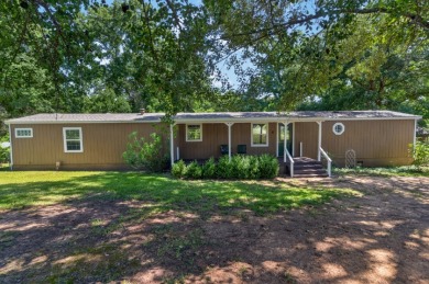 Home and Two Lots near Lake Palestine - photo 1