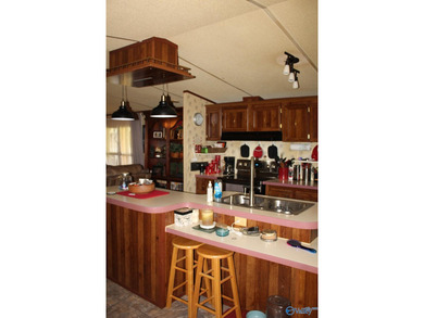 This is your chance for paradise on the lake, this home has it - photo 43