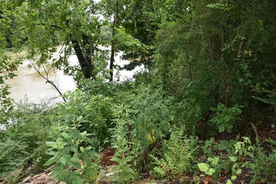 MOTIVATED SELLER!! Beautiful Riverfront Property in private - photo 10