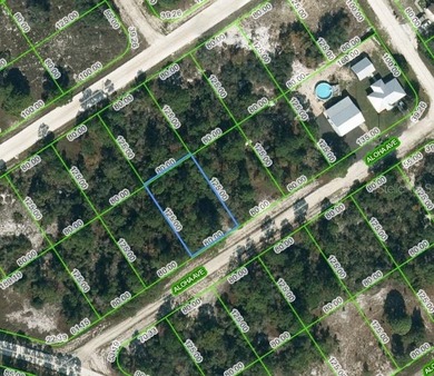 Lake Grassy Lot For Sale in Lake Placid Florida