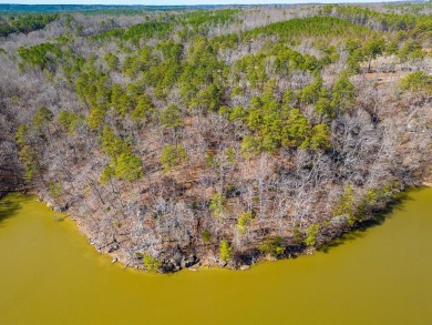 Lake Lot For Sale in Arley, Alabama