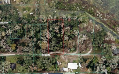 Black Sink Prairie Lake Lot For Sale in Citra Florida