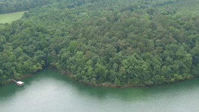 Lake Lot For Sale in Arley, Alabama