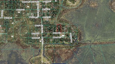 Excellent opportunity to own nearly a half-acre in Citra - photo 3