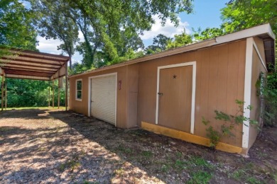 Home and Two Lots near Lake Palestine - photo 40