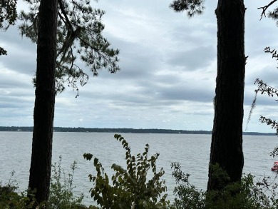 Lake Eufaula / Walter F George Reservoir Lot For Sale in Abbeville Alabama