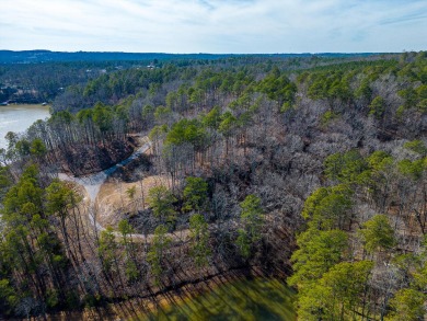 Lake Lot For Sale in Arley, Alabama