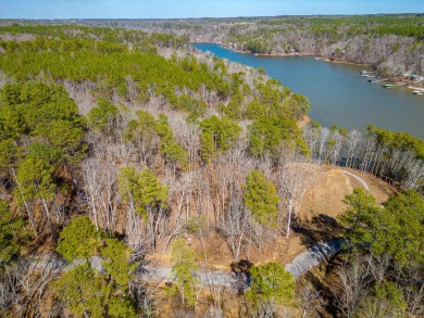 Lake Lot For Sale in Arley, Alabama