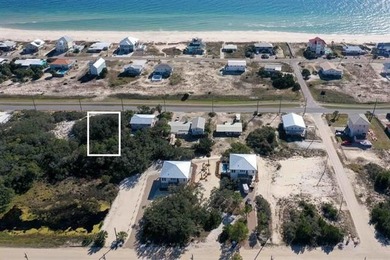 Outstanding Gulf-view with direct beach access! Fully permitted - photo 1