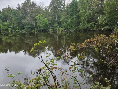 Lake Acreage For Sale in Mount Olive, Mississippi