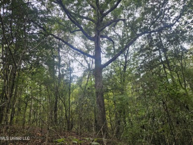 (private lake, pond, creek) Acreage For Sale in Mount Olive Mississippi