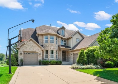 Lake Home Sale Pending in Schaumburg, Illinois