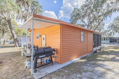 1,225 square foot Mobile is beautifully updated. 1973 2-bedroom - photo 5