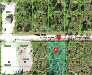Lake Weohyakapka Lot For Sale in Indian Lake Estates Florida