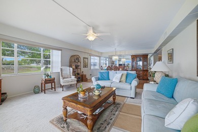 LOTS OF NATURAL LIGHT ENHANCE THE PANORAMIC VIEW OF GOLF AND - photo 10