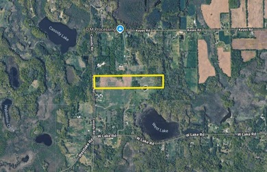 33 Mostly Tillable Acres with Pond in Bellevue, MI ~ Online Real - photo 11