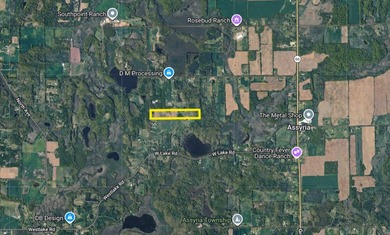 33 Mostly Tillable Acres with Pond in Bellevue, MI ~ Online Real - photo 13