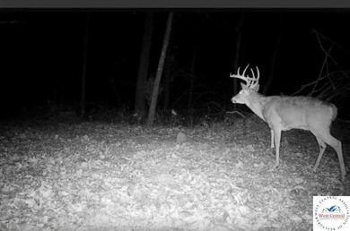 94 acres of Hunting Haven! Perfectly suited for the avid - photo 23