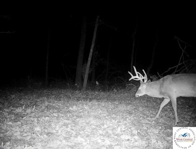 94 acres of Hunting Haven! Perfectly suited for the avid - photo 24